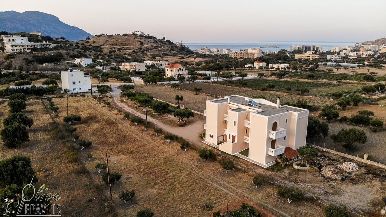 Ferienwohnung Olive Epavlis Karpathos Exterior foto