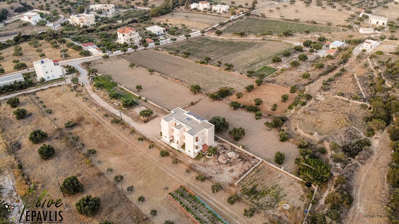 Ferienwohnung Olive Epavlis Karpathos Exterior foto